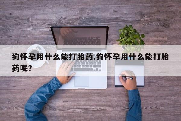 意外怀孕怎么买流产药狗怀孕用什么能打胎药.狗怀孕用什么能打胎药呢？