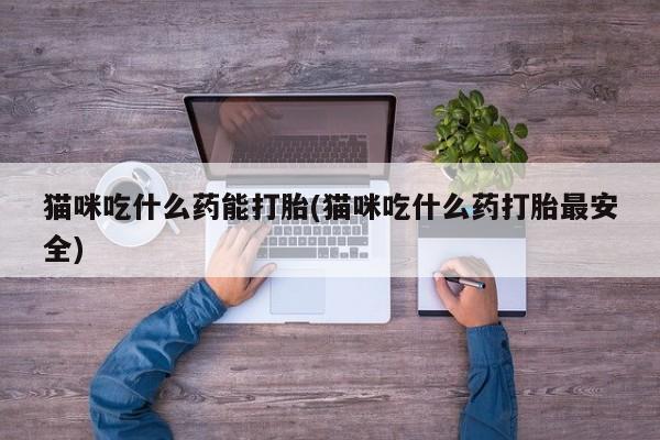 意外怀孕怎么买流产药猫咪吃什么药能打胎(猫咪吃什么药打胎最安全)