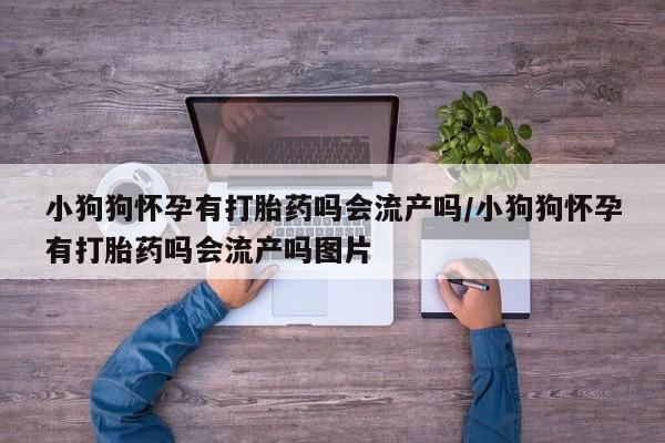 意外怀孕怎么买流产药小狗狗怀孕有打胎药吗会流产吗/小狗狗怀孕有打胎药吗会流产吗图片