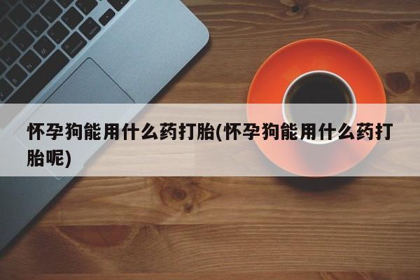 意外怀孕怎么买流产药怀孕狗能用什么药打胎(怀孕狗能用什么药打胎呢)